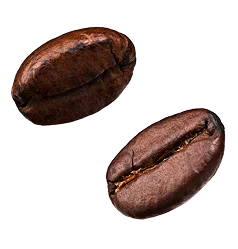 coffee beans